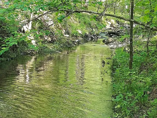 Pleasant Point, Mount Ida, AR 71957