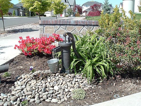 Front Yard