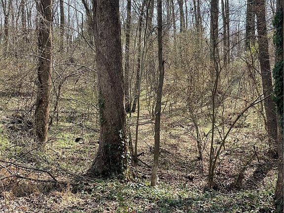 3rd image of 0 Laurel Park Rd Lot 22