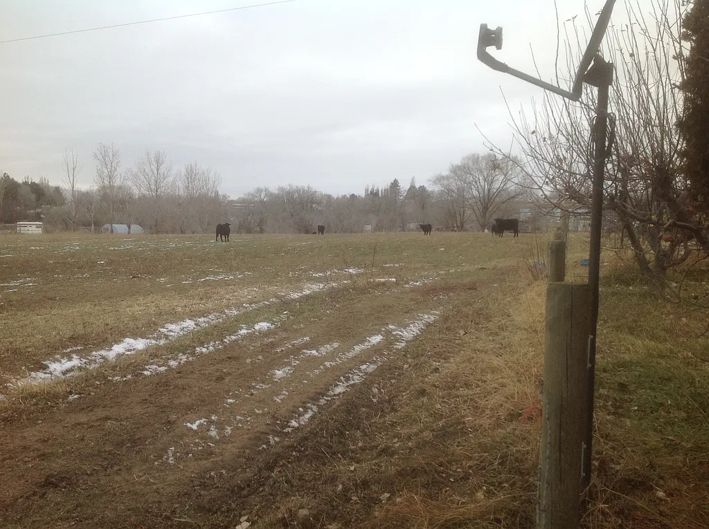 Property photo 5