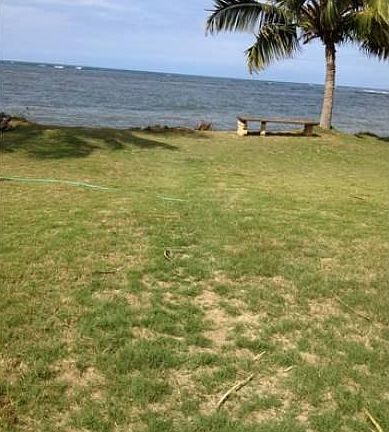 Backyard to the beach
