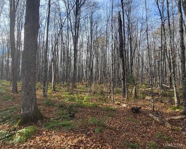 Federal Forest Hwy #16, Iron River, MI, 49935