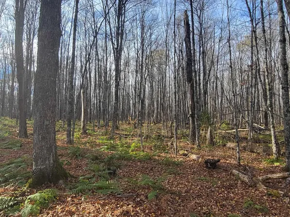 Federal Forest Hwy #16, Iron River, MI 49935