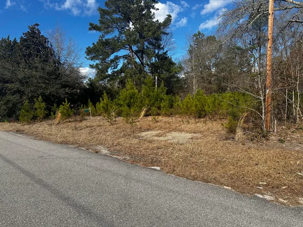 204 Sharon Ave, Hampton, SC 29924