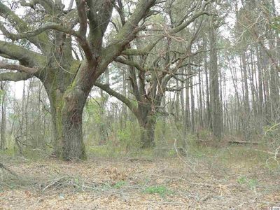 Twin Oaks Dr, Marion, SC, 29571