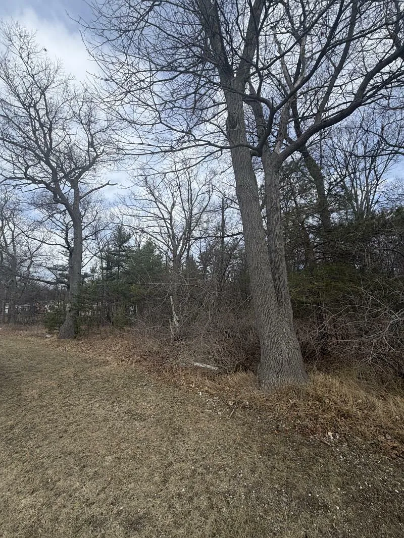 Hillcrest Dr photo 1