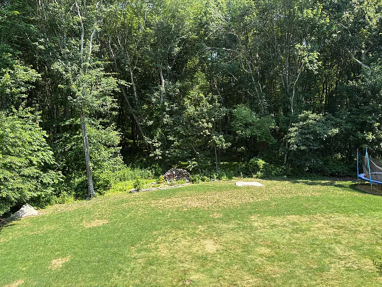 View from deck to backyard