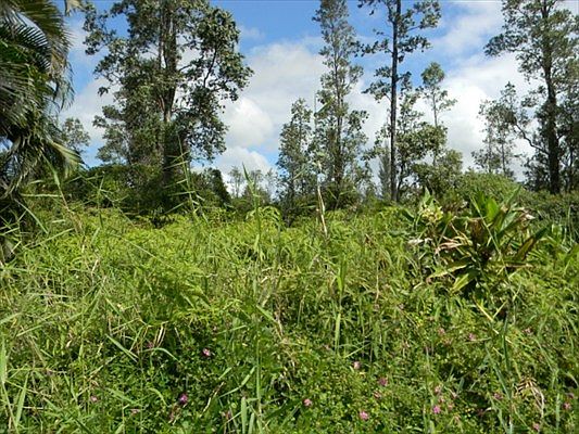5th image of Lehua Dr Lot 55