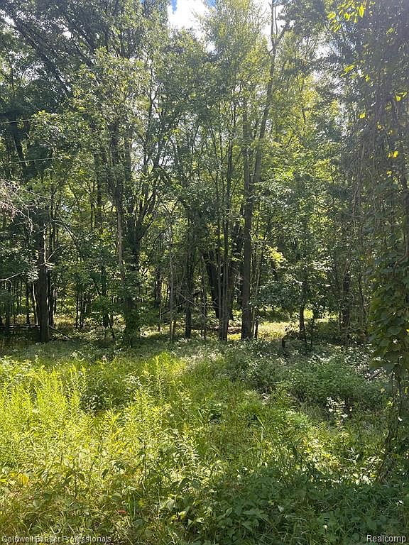 0 W Castle Rd, Fostoria, MI 48435 Zillow