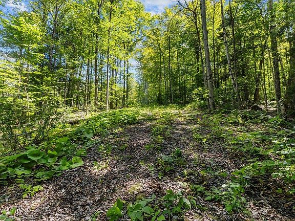 3rd image of 1901 Royalton Hill Road
