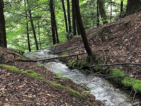 5th image of 161 Ridge Rd