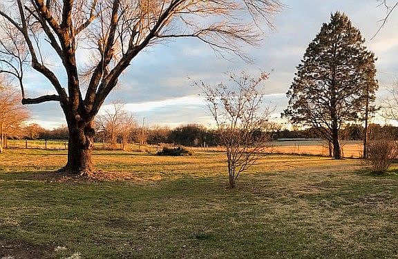 View from the back porch!