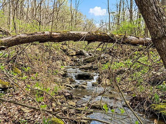 3rd image of 212 Angora Road