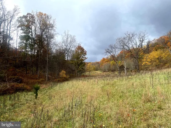 Frog Hollow Rd, Capon Bridge, WV 26711