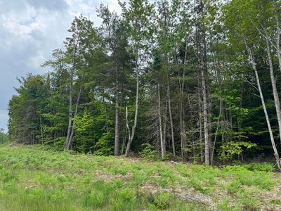 Us Highway 2, Moran, MI, 49760