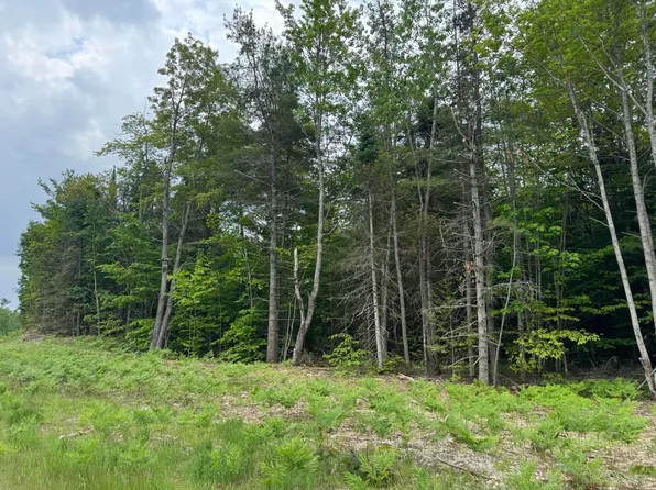 Us Highway 2, Moran, MI 49760