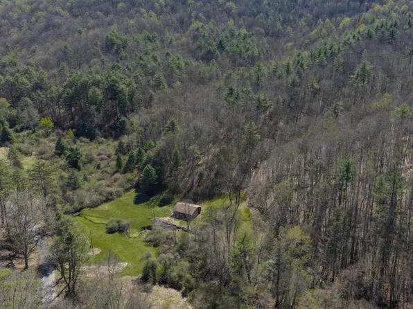 2050 Pedlar River Rd, Vesuvius, VA 24483