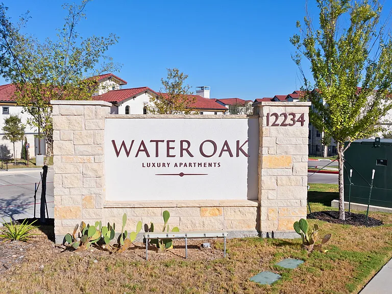 Water Oak — Photo 74