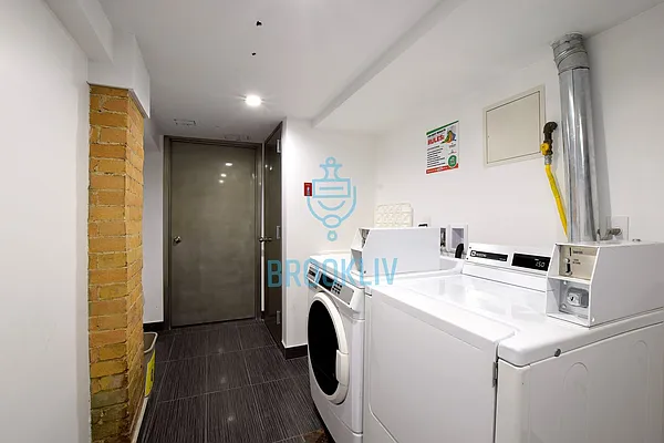 Rented by null | media 54