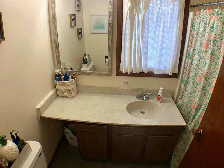 Mother-in-law suite bathroom
