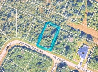 313 Plateau AVE, LEHIGH ACRES, FL 33974