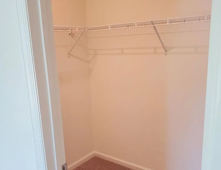 247 Mustard Hill Ct — Photo 12