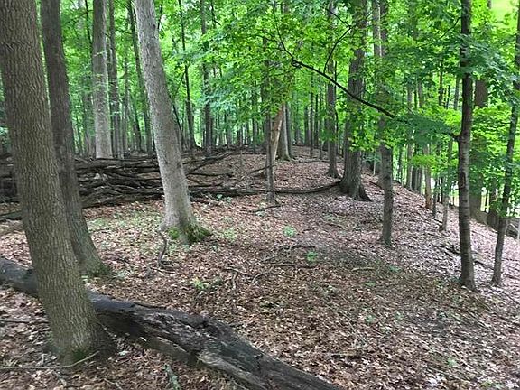 2nd image of Edgewood Ln