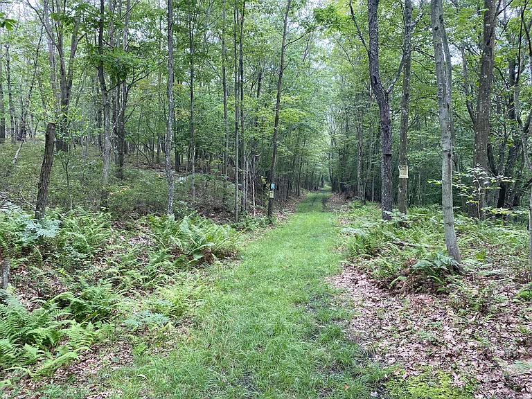 427 Summit Woods Rd — Photo 59
