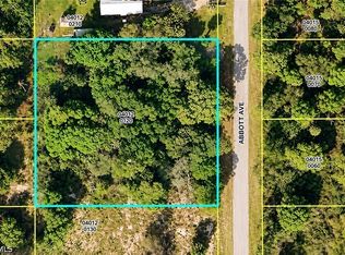 913 Abbott Ave, Lehigh Acres, FL 33972