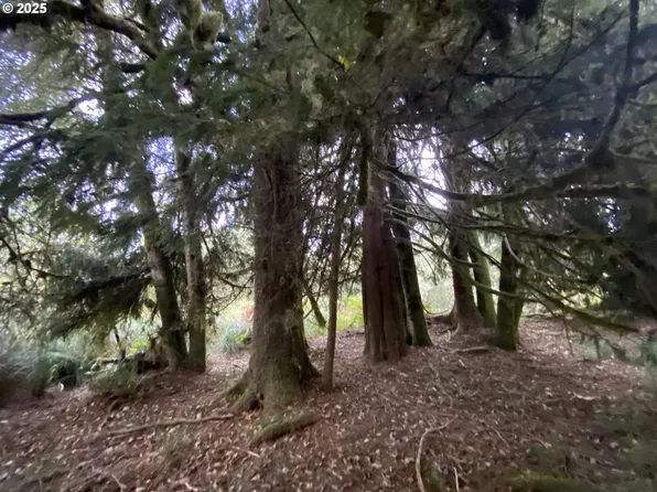 Dellmoor Loop, Warrenton, OR 97146