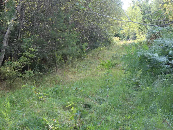 Lot2 Gallison Road, Sherman, ME 04776