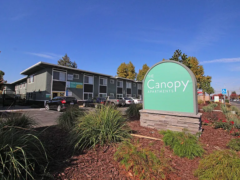 The Canopy