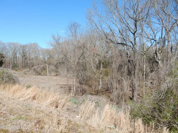1 Looxahoma Tyro Rd Lot 1, Senatobia, MS 38668
