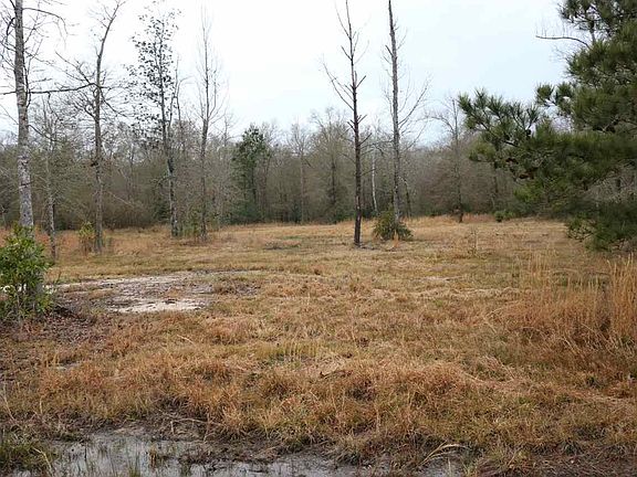 3rd image of 7581 Woodberry Dr