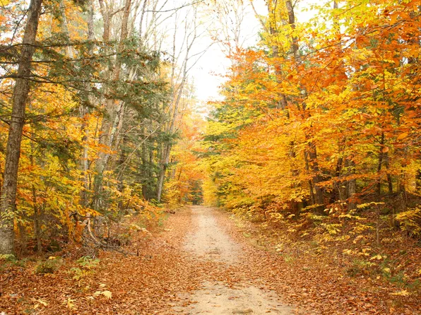 Lot # 2 S Barbour Road, Stow, ME 04037