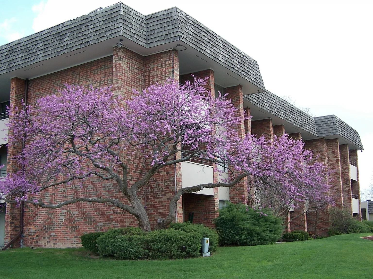 Regency Park Apartments — Photo 1