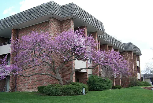 Regency Park Apartments Photo 1