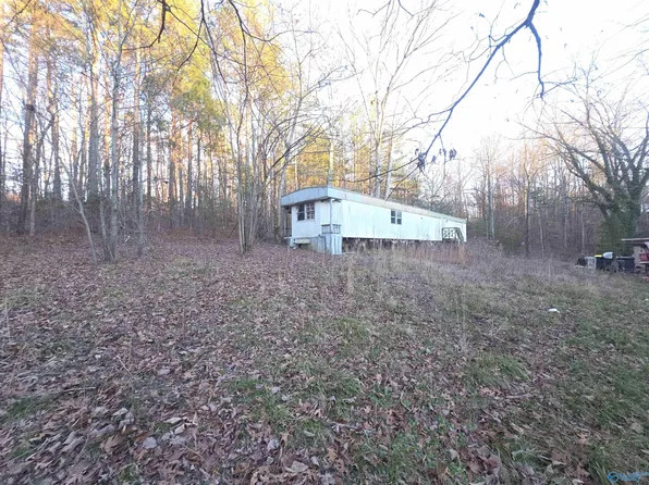 52 Hand Rd, Falkville, AL 35622