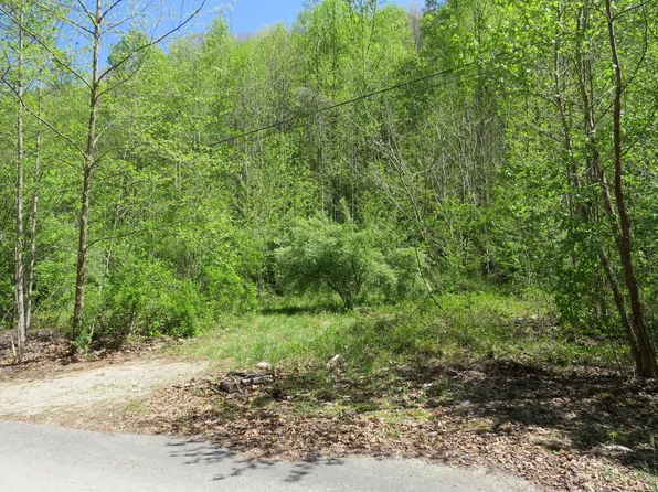 0 Trace Branch Rd, Flat Lick, KY 40935