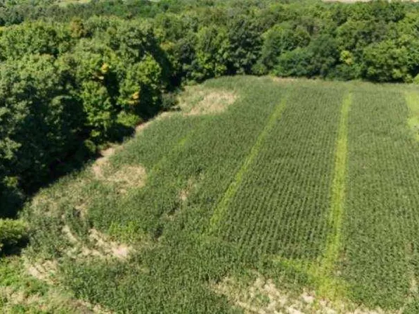 PARCEL Four Sycamore St, Dryden, MI 48428