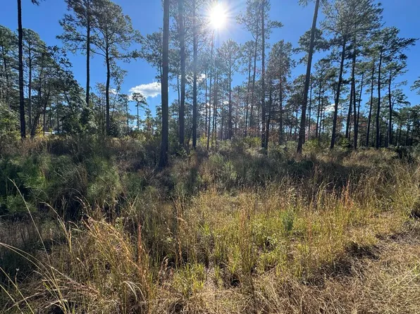 LOT 55 Private Road 6028, Brookeland, TX 75931