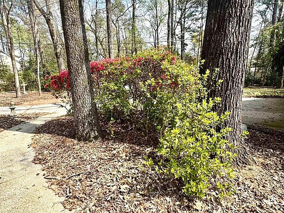 3rd image of 2825 Acton Rd