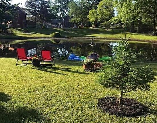 On the back side of pond 