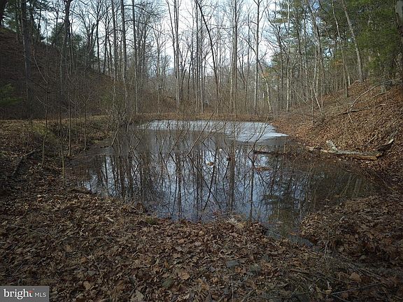 2nd image of 196 Hodges Ln