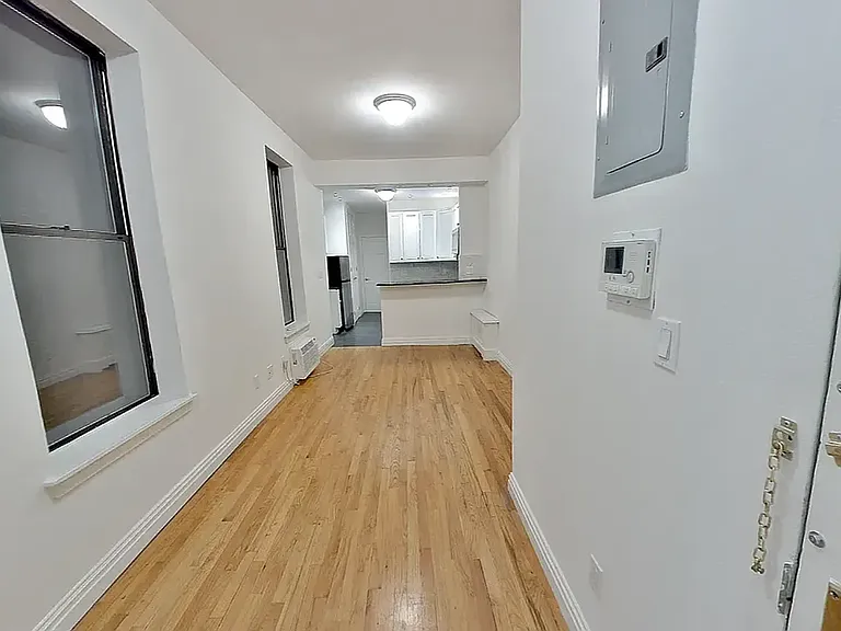417 3rd Ave #1C — Photo 4