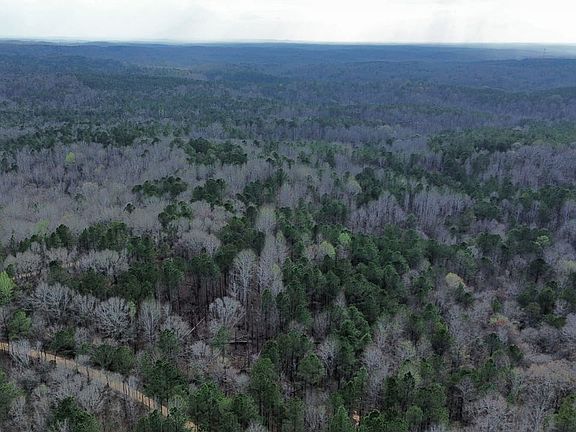 Dji Fly 20260305 163626 460 1773259685757 Photo Optimized