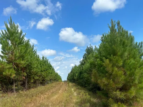 0 County Road 3, Silas, AL 36919