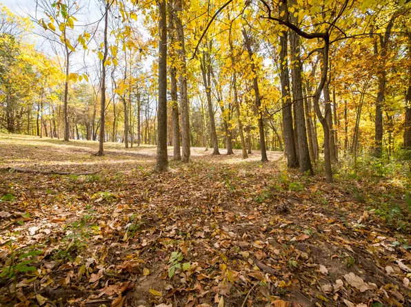 LOT 6 N Locust Grove Church Rd, Columbia, MO 65202