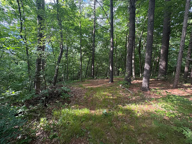 3580 Slinger Rd — Photo 9