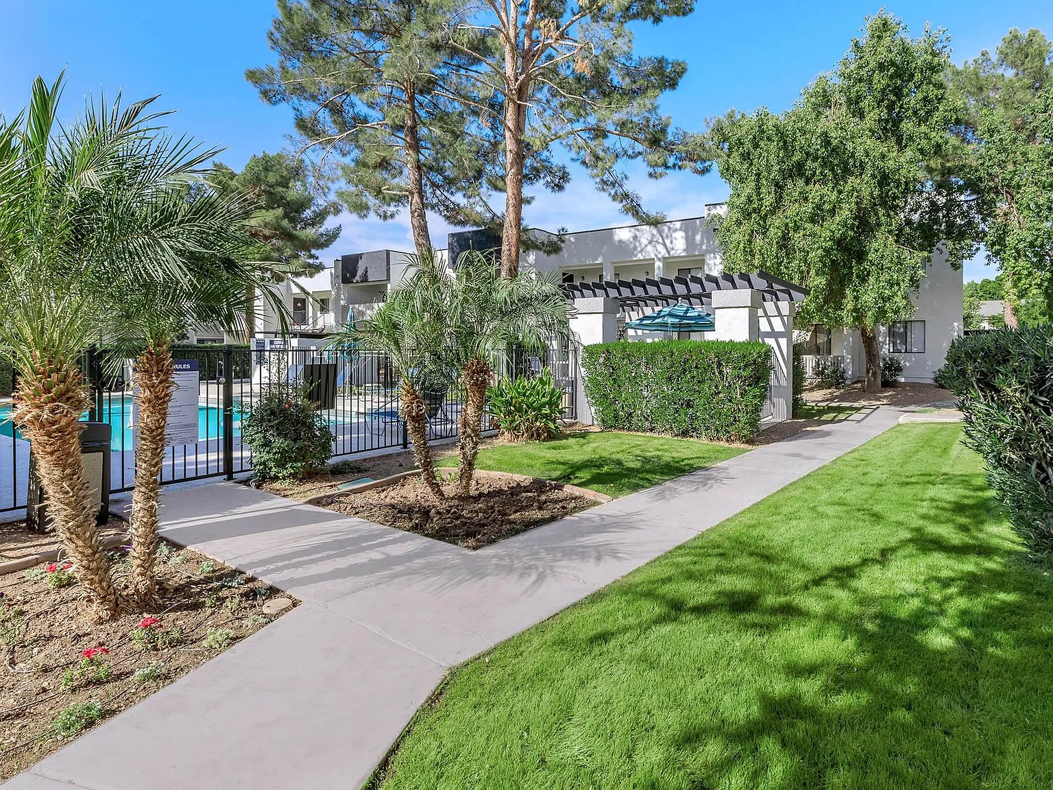 Sun Creek Apartments — Photo 3